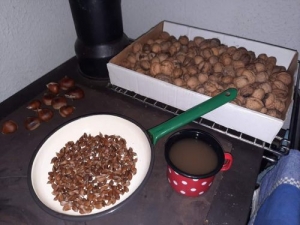 ŽELOD in ŽIR